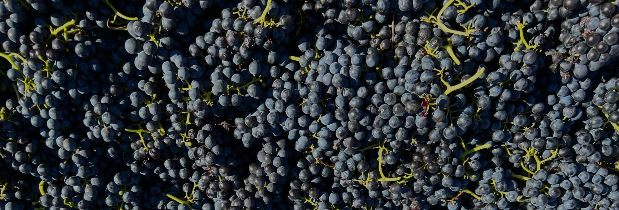 Karvale Wines Banner